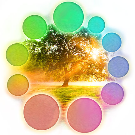 Baum mit Lichtstrahlen und farbigen Kreises herum.